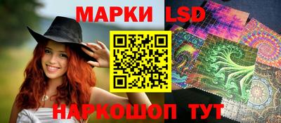 индика Моздок