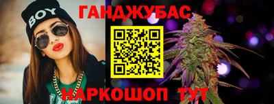 индика Моздок