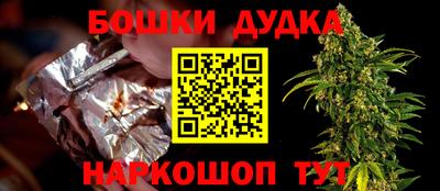 индика Моздок