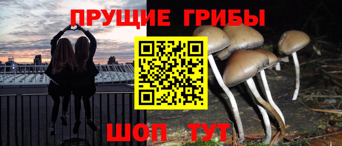 Галлюциногенные грибы Magic Shrooms Владивосток
