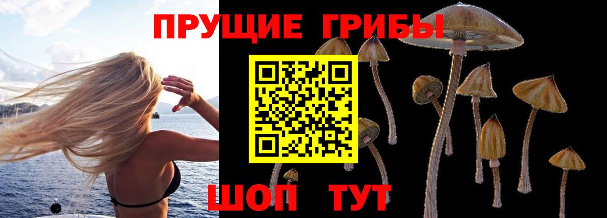 Владивосток  Галлюциногенные грибы Magic Shrooms  Вход с VPN  купить  сайты  Псилоцибиновые грибы Cubensis 